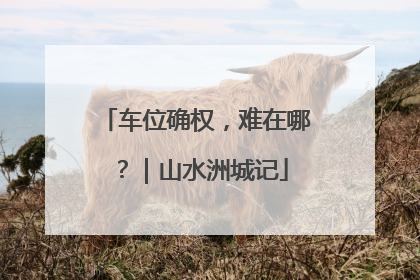 车位确权，难在哪？｜山水洲城记
